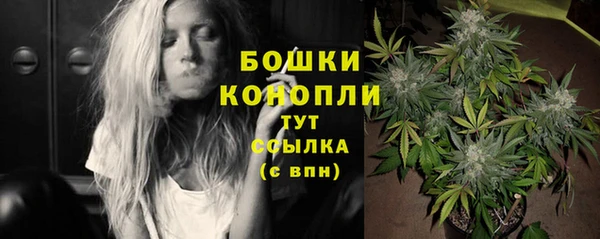 дурь Переславль-Залесский