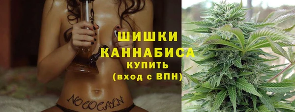эйфоретик Пестово