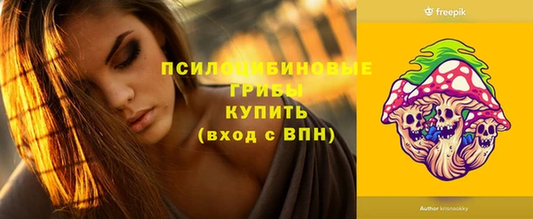 дурь Переславль-Залесский