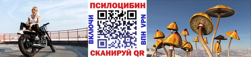 Галлюциногенные грибы GOLDEN TEACHER Томари