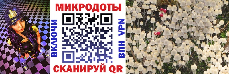 Псилоцибиновые грибы мицелий  наркошоп  Томари 